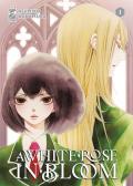 A white rose in bloom. Vol. 1