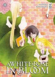 A white rose in bloom. Vol. 3