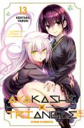 Ayakashi triangle. Vol. 13