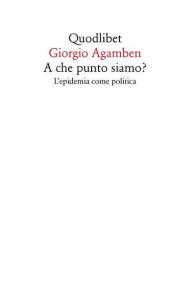 A che punto siamo? L'epidemia come politica