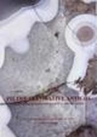 Collezioni di pietre decorative antiche «Federico Pescetto» e «Pio De Santis»