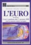 L'euro. Cosa è cambiato dal 1º gennaio 1999 con la moneta unica europea