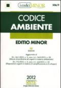 Codice ambiente. Ediz. minore