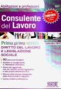 Consulente del lavoro. Prima prova scritta. Diritto del lavoro e legislazione sociale