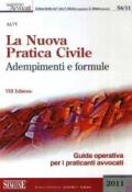 La nuova pratica civile. Adempimenti e formule. Guida operativa per i praticanti avvocati