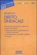 Elementi di Diritto Sindacale: Sindacato e fenomeno sindacale - Libertà sindacale - Organizzazione, rappresentanza e attività sindacale - Contrattazione ... collettivo - Sciopero (Il timone Vol. 248)