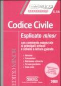 Codice civile esplicato