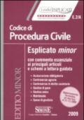 Codice di procedura civile esplicato