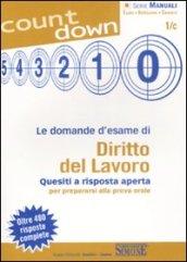 Le domande d'esame di diritto del lavoro. Quesiti a risposta aperta per prepararsi alla prova orale