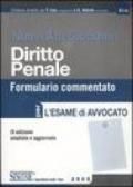 Nuovi atti giudiziari. Diritto penale. Formulario commentato per l'esame di avvocato