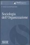 Sociologia dell'organizzazione