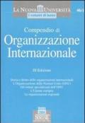 Compendio di organizzazione internazionale