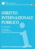 Diritto internazionale pubblico