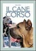 Il cane corso