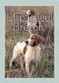 L'épagneul breton