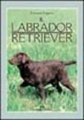 Il labrador retriever