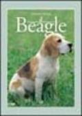 Il beagle