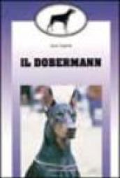 Il dobermann