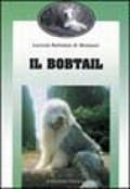 Il bobtail