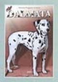 Il dalmata