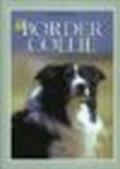 Il border collie