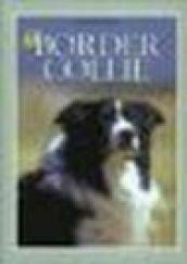 Il border collie