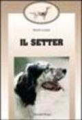 Il setter