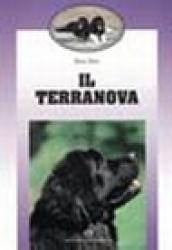 Il terranova