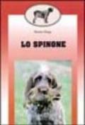 Lo spinone