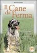 Il cane da ferma