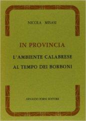 In provincia. L'ambiente calabrese al tempo dei Borboni (rist. anast. Napoli, 1896)