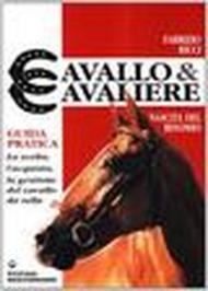 Cavallo e cavaliere