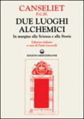 Due luoghi alchemici. In margine alla scienza e alla storia