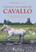 Conoscere i movimenti del cavallo