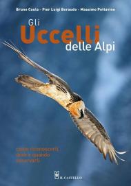 Gli uccelli delle Alpi. Come riconoscerli, dove e quando osservarli. Ediz. illustrata