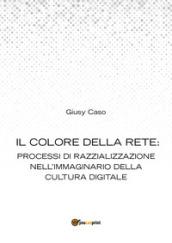 Il colore della rete: processi di razzializzazione nell'immaginario della cultura digitale