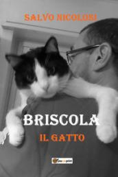 Briscola il gatto