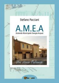 A.M.E.A. (Azienda Municipale Energia Acqua)