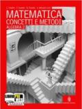 Matematica concetti e metodi. Algebra. Per le Scuole superiori. Con espansione online vol.2