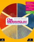 Che meraviglia! Strumenti per una didattica inclusiva. Per la Scuola media. Con e-book. Con espansione online