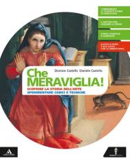 Che meraviglia! Con Leggere e rielaborare le opere d'arte. Con e-book. Con espansione online. Con DVD-ROM