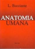 Anatomia Umana