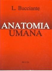 Anatomia Umana