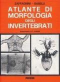 Atlante di morfologia degli invertebrati