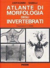 Atlante di morfologia degli invertebrati