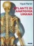 Atlante di anatomia umana