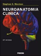 Neuroanatomia clinica