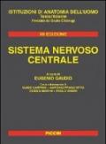Sistema nervoso centrale