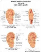 Tavole di punti di agopuntura auricolare