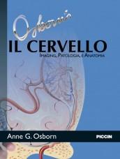 Il cervello Imaging, anatomia e neuropatologia